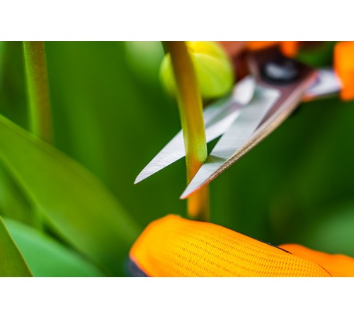 Садовые ножницы NEO TOOLS 185 мм, арт. 15-215 – для травы, лозы и букетов