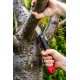 Пила для сада TOOP TOOLS 180 мм (арт. 10A750), компактный складной инструмент.